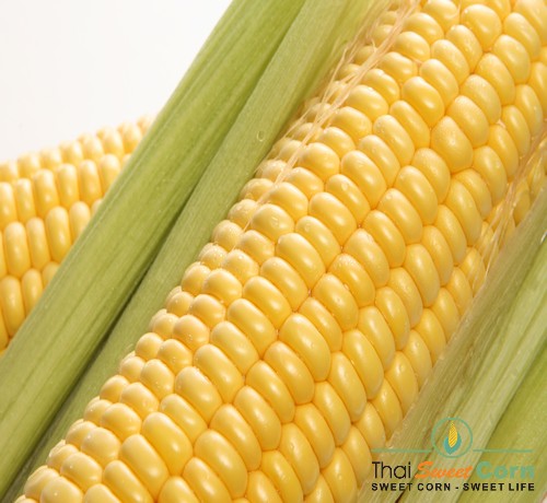 Sweet Corn